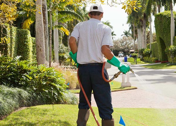 About Dolton IL Pest Control